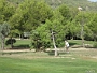 IMG 0224