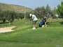 IMG 0234