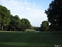 IMG 0239