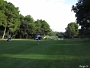 IMG 0241