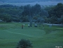 IMG 0257