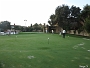 IMG 0303
