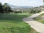 IMG 0308