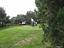 IMG 0309