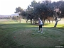 IMG 1946