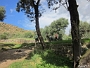 IMG 1958