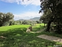 IMG 1959