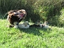 IMG 0481