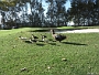 IMG 0483