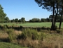 Golf du Médoc 2