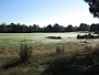 Golf du Médoc 3