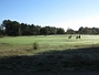 golf du Médoc