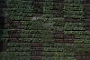 IMG 3759